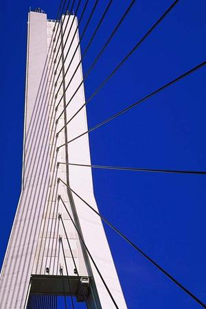 システム建築の株式会社杉本組について