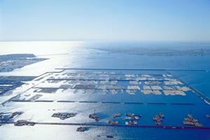 自分で理想のマイホームを建てる