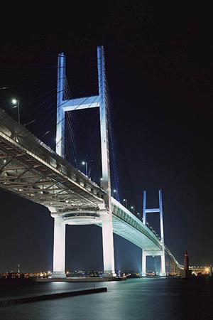 集客力を高めるジップラインの施工