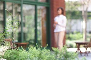 宮崎市で理想の土地をどう探すのか