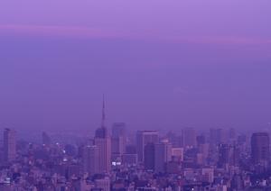 仙台市青葉区で不動産会社の利用が増加中