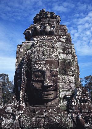 優れた提案をする宮城野区の不動産仲介