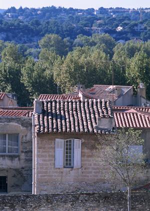 ライフデザインの特徴などについて