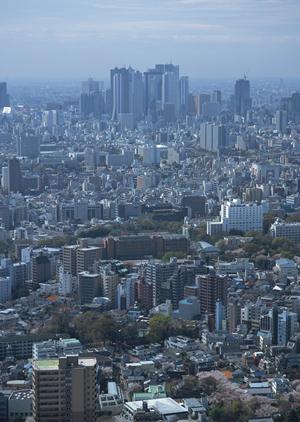 松山市にあるおすすめの不動産会社